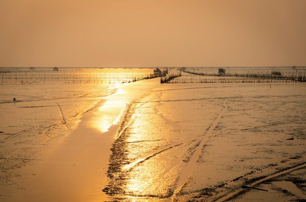 Où trouver les meilleures expériences de randonnée sur le sentier de la Grande Muraille de Chine?