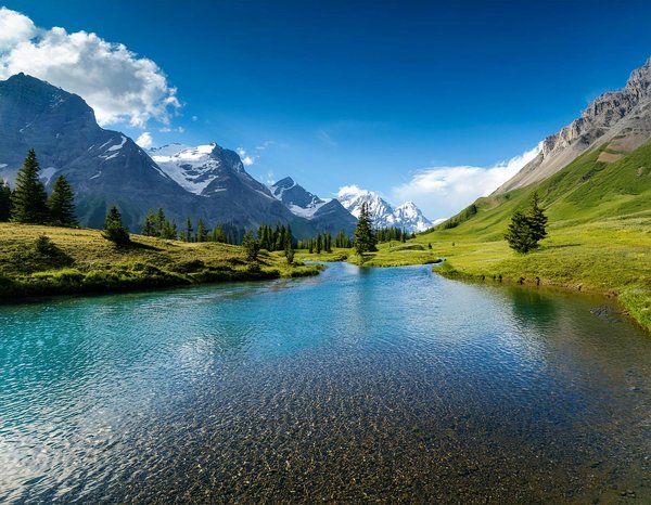 Quelles croisières permettent d'explorer les récifs coralliens en mer Rouge?